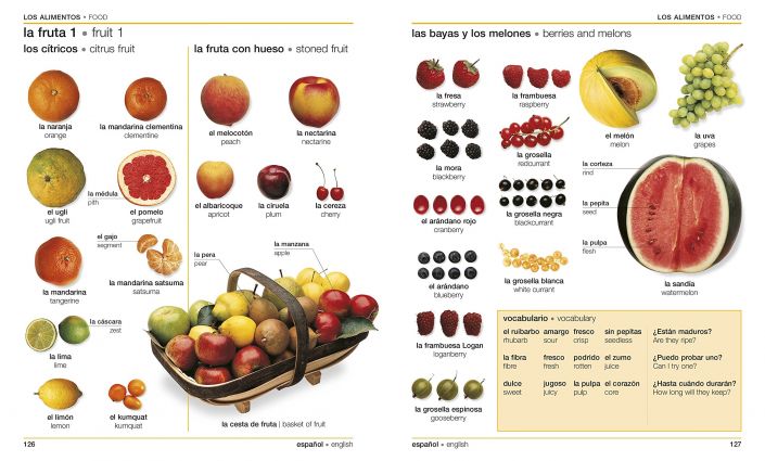 Japanese English Bilingual Visual Dictio